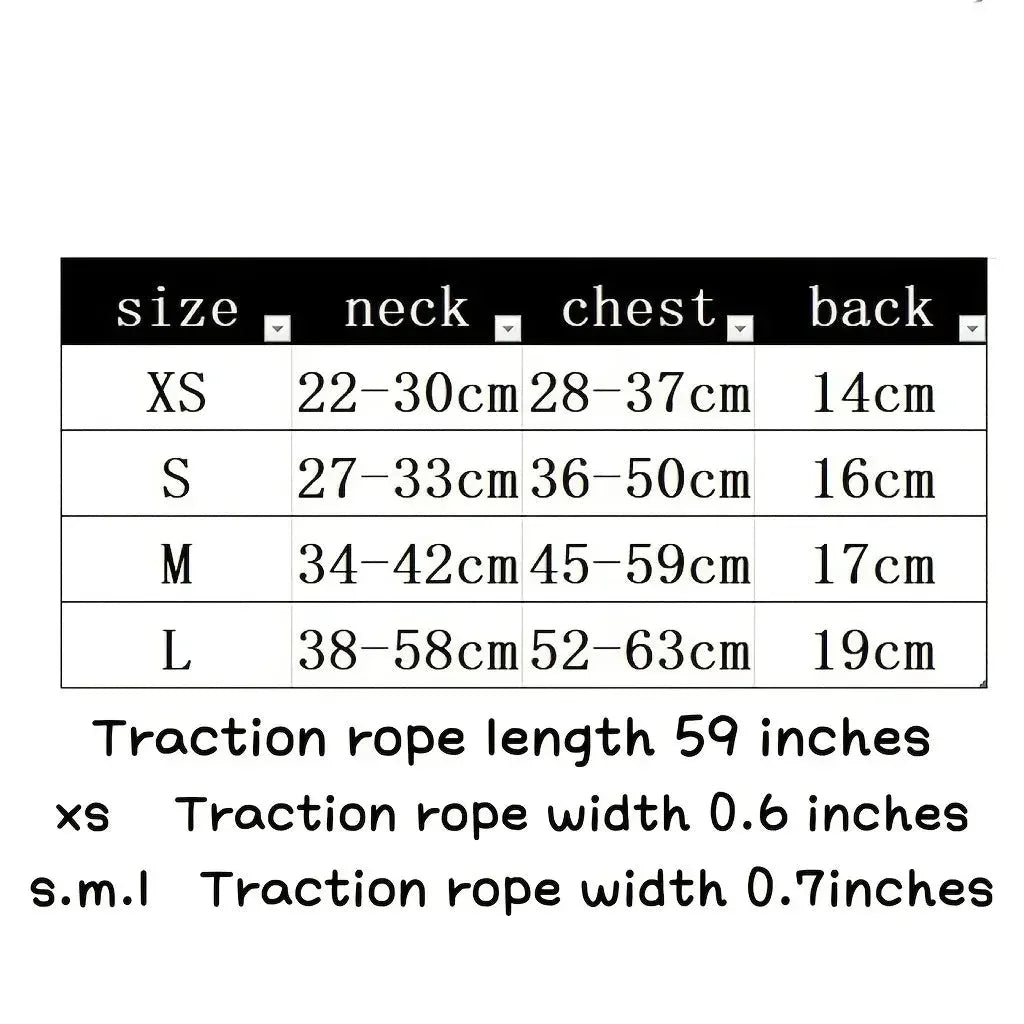 Adventure Cat Harness & Collar - Happy Tails - paws & love