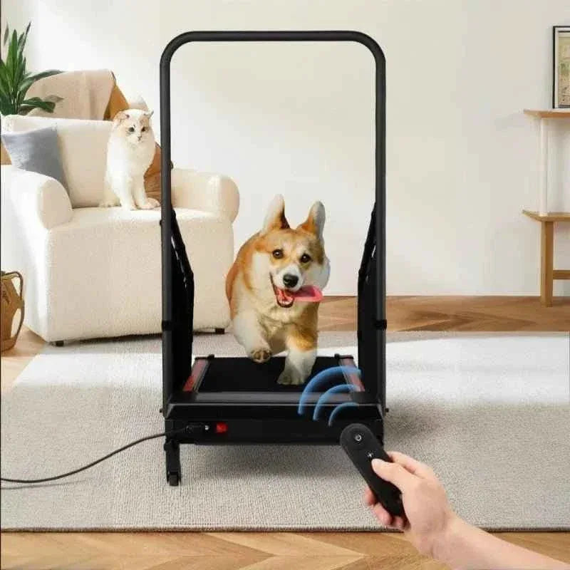 Pet Walking Machine for Indoor Exercise and Fitness - Happy Tails