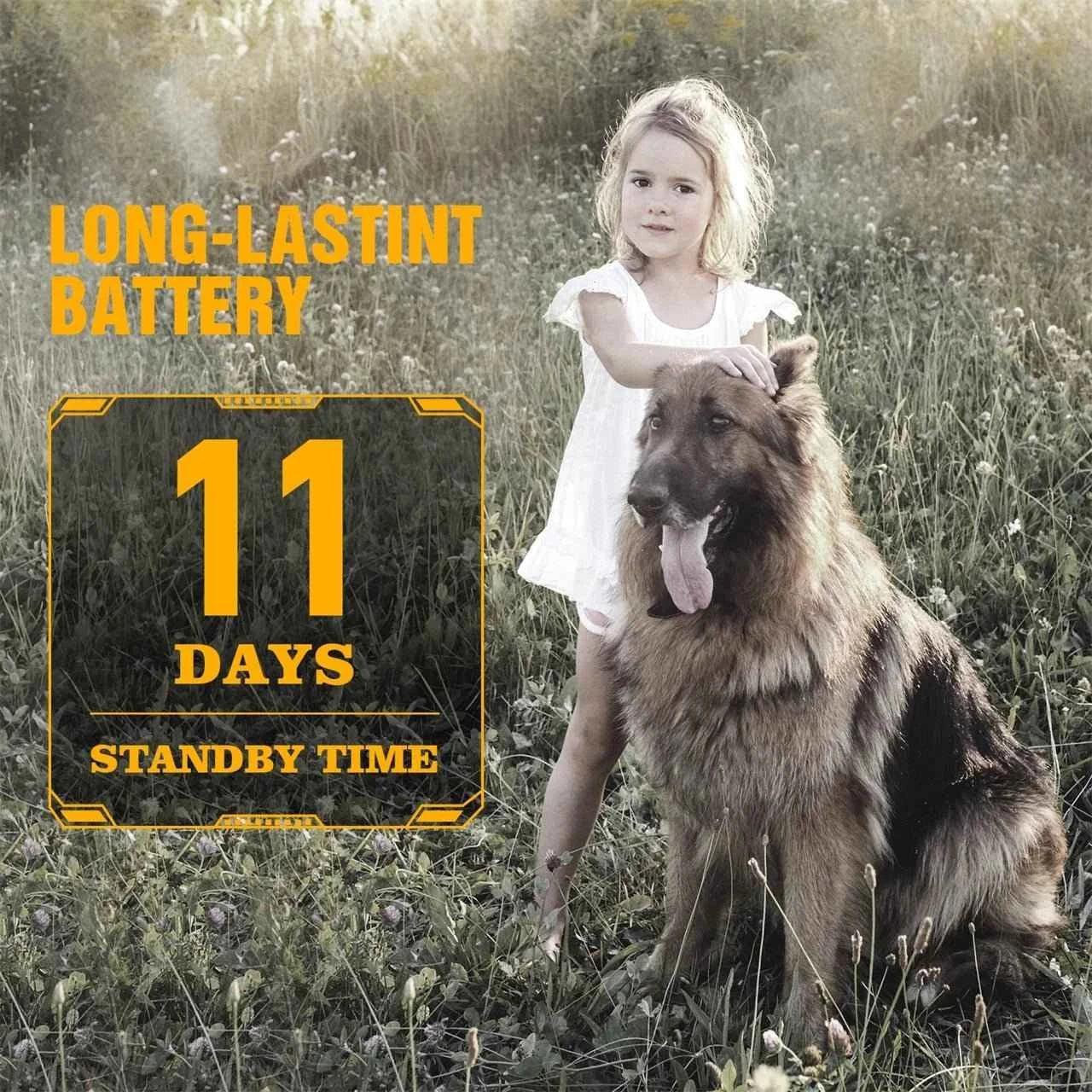 Electric Shock Collar for Large Dogs - Happy Tails