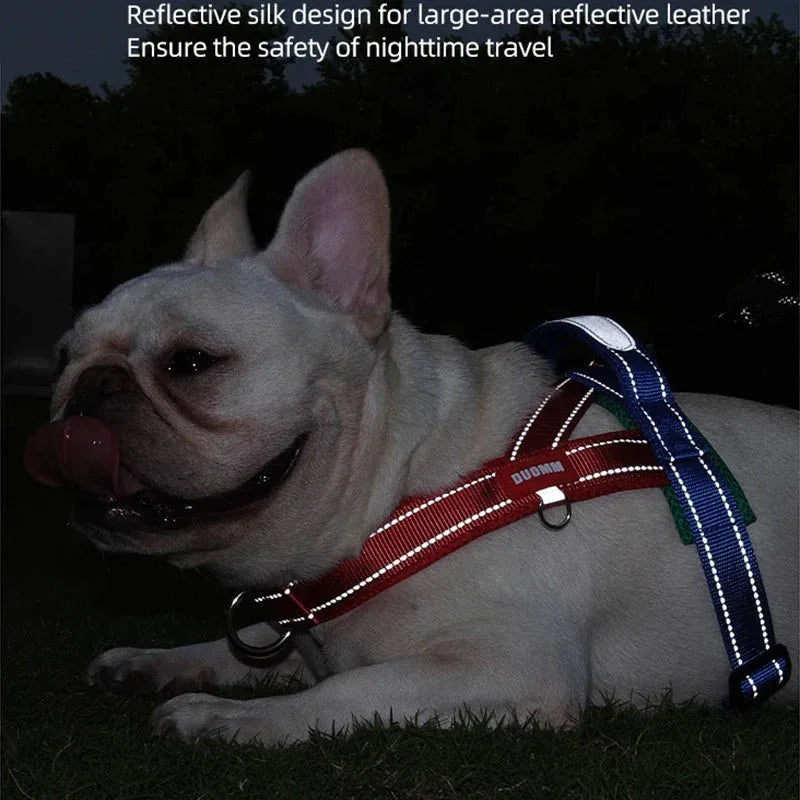 Dogs Harness Saddle - Happy Tails - paws & love