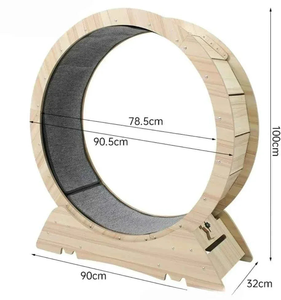 Friendly Silent Cat Exercise Wheel - Happy Tails - paws & love