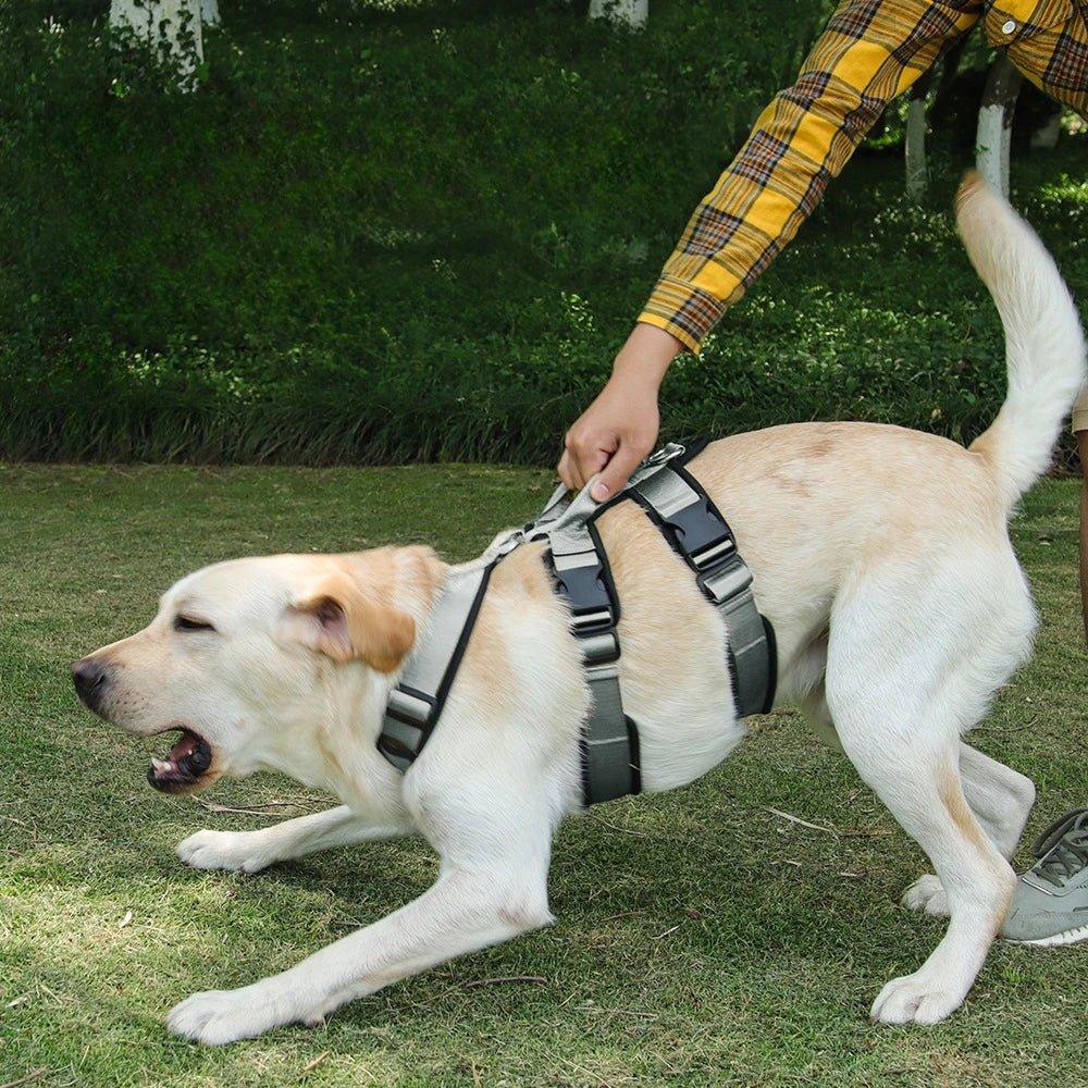Reflective Pet Harness for Easy Control - Happy Tails