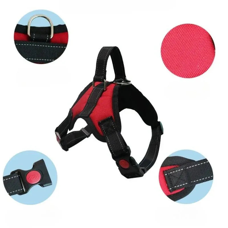Saddle Dog Harness - Happy Tails - paws & love