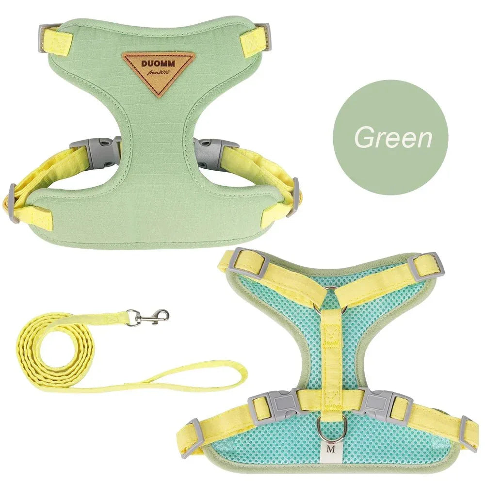 Cat & Puppy Harness and Leash - Happy Tails - paws & love