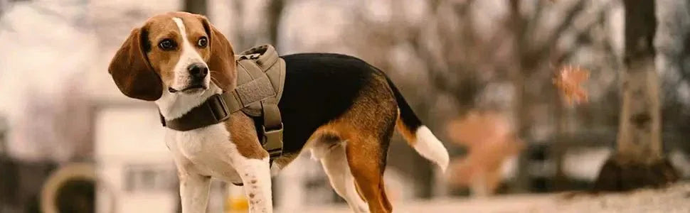 Tactical Dog Harness - Happy Tails - paws & love
