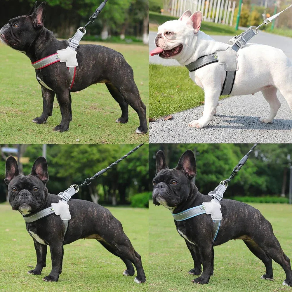 Pet Dog Harness - Happy Tails - paws & love