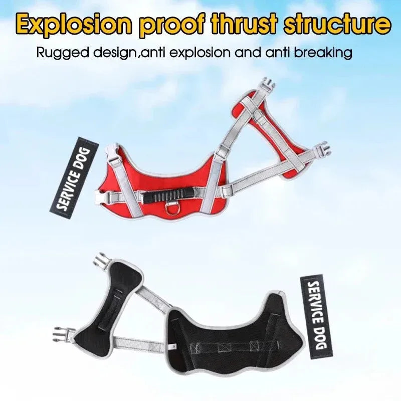 Puppy Harness for Dogs - Happy Tails - paws & love