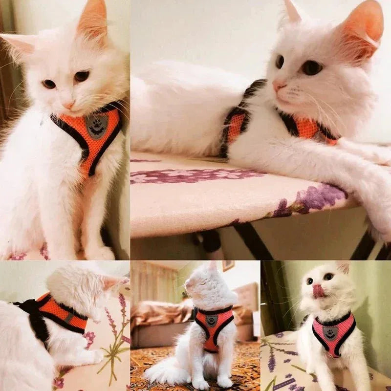 Feline Freedom Cat Harness - Happy Tails - paws & love