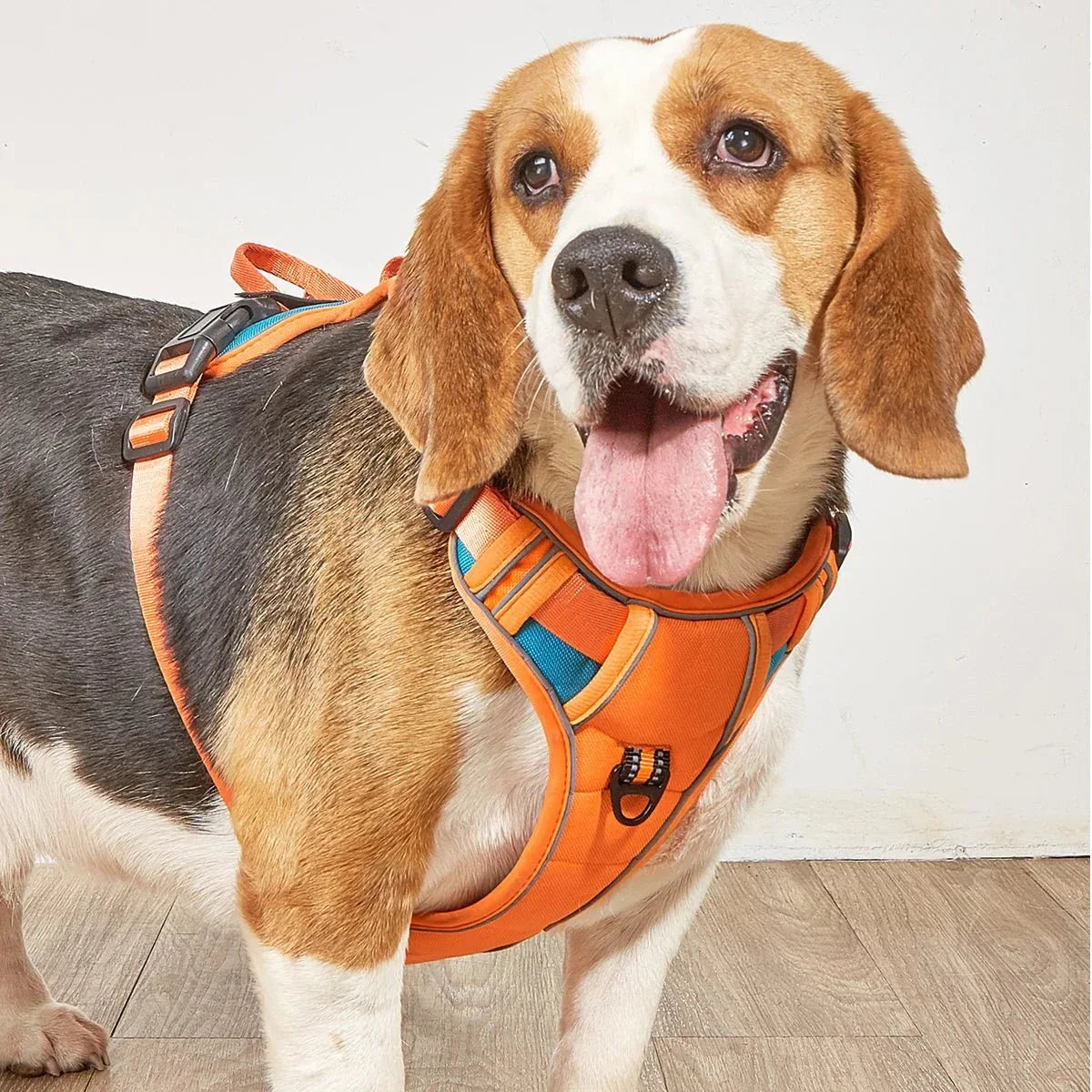 Dog Harness No Pull - Happy Tails - paws & love