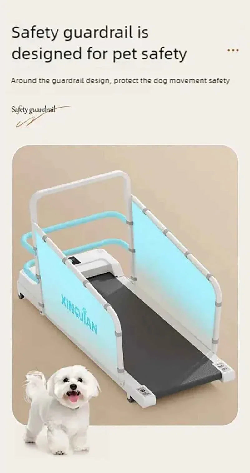 Pet Treadmill for Dogs and Cats - Happy Tails - paws & love