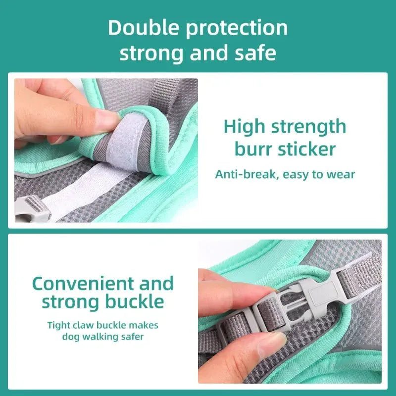 Dog Harness for Small dog - Happy Tails - paws & love