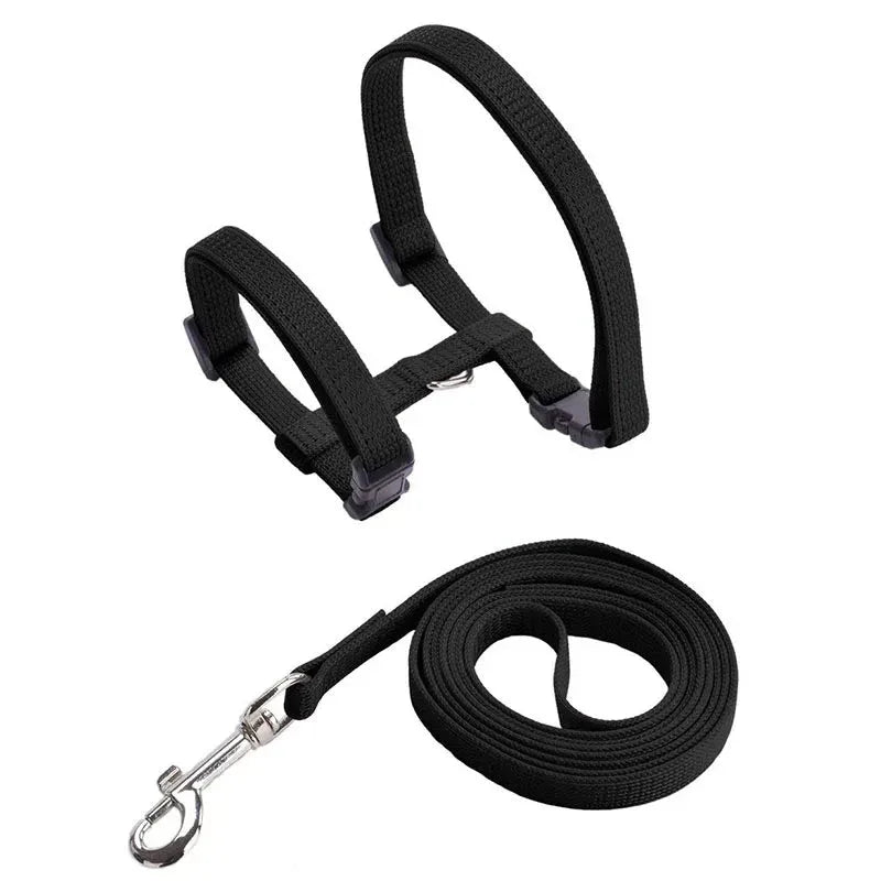Kitten Adventures Harness & Leash Set - Happy Tails