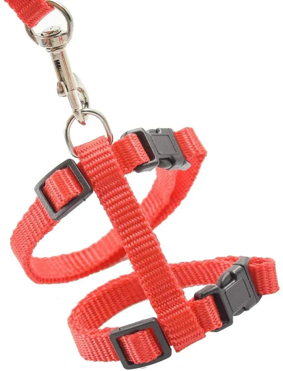 Kitten Adventures Harness & Leash Set - Happy Tails