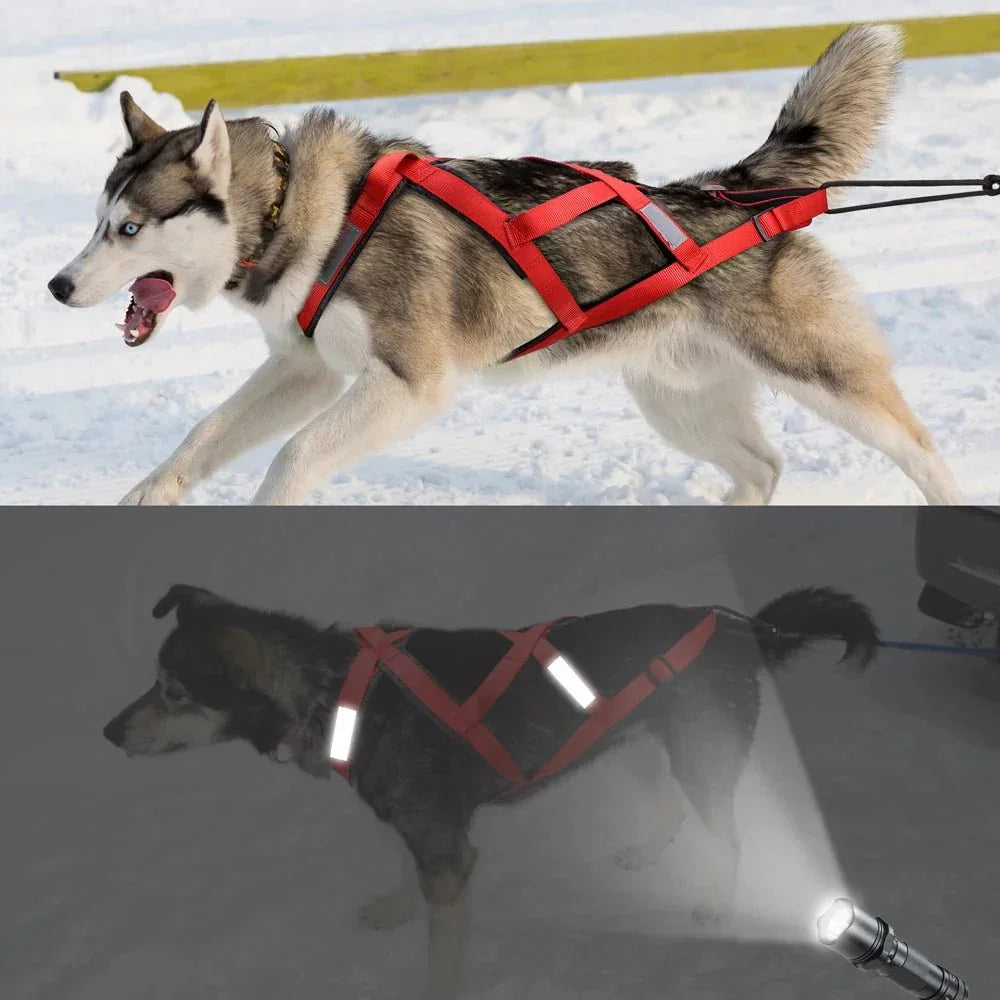 Dog Sled Harness - Happy Tails