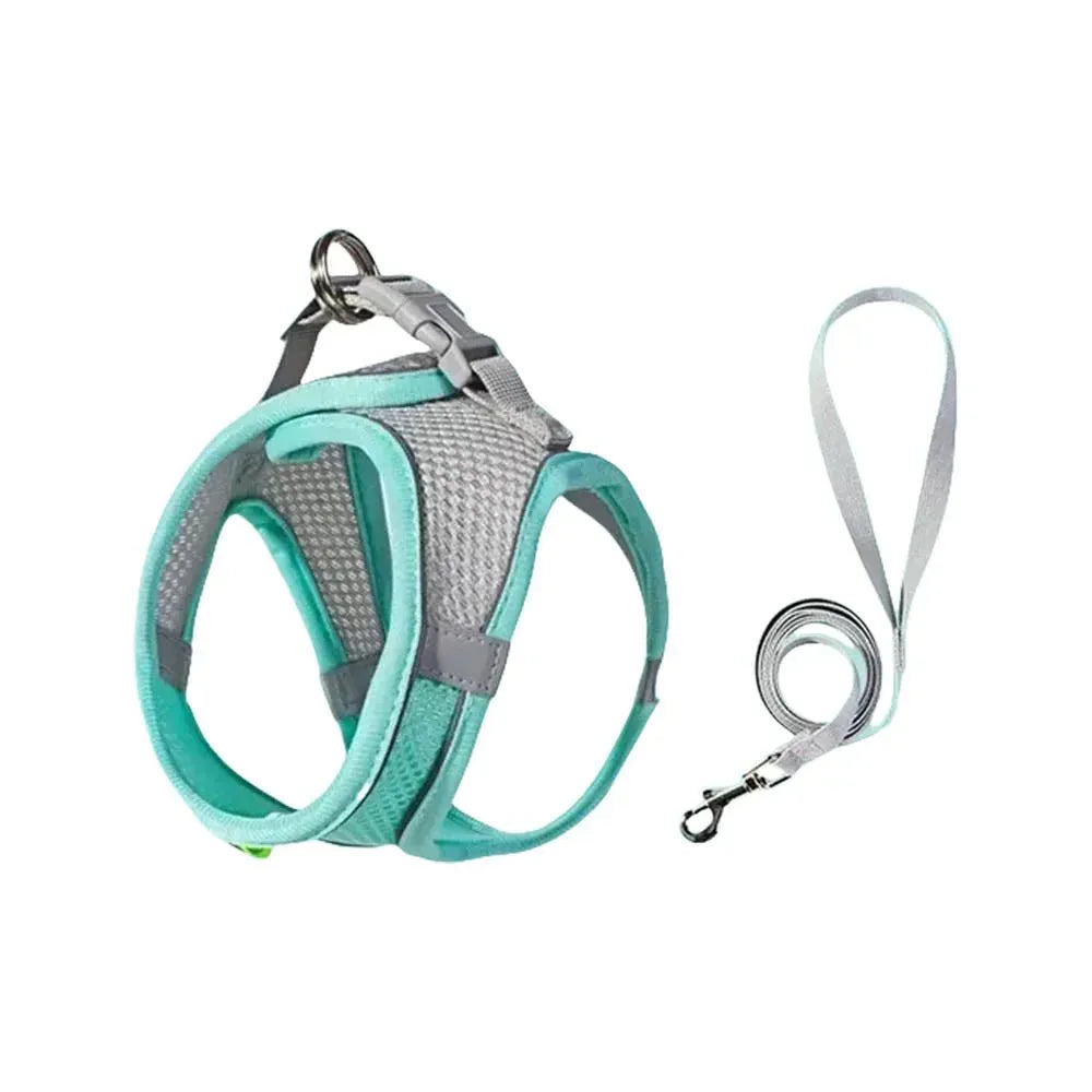 Dog Harness & Collar Set - Happy Tails - paws & love