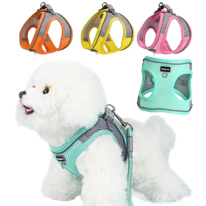 Dog Harness for Small dog - Happy Tails - paws & love