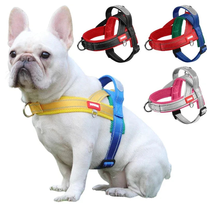 Dogs Harness Saddle - Happy Tails - paws & love