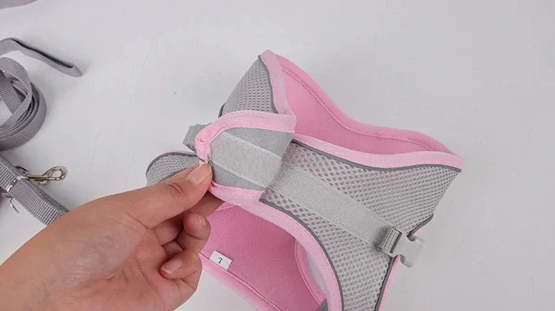 Leash & Harness Set for Small Dogs - Happy Tails - paws & love