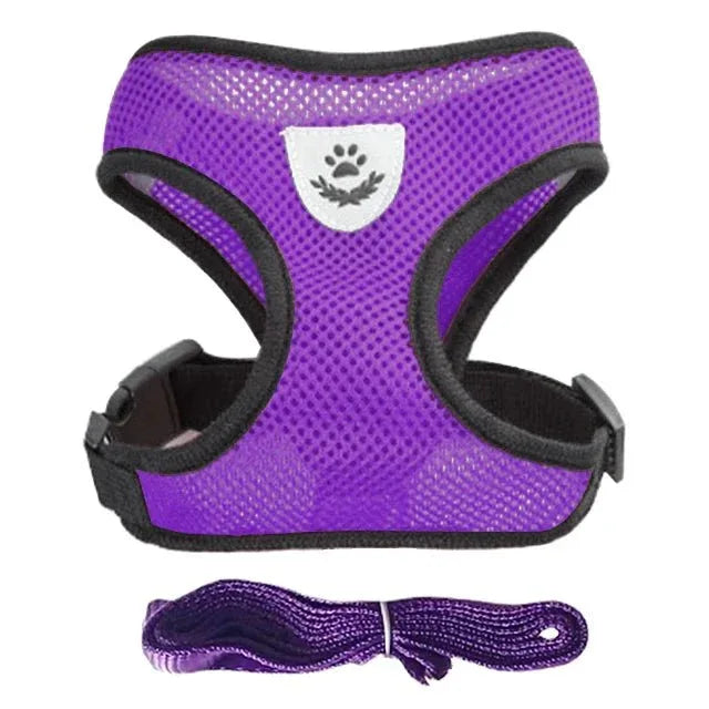 Dog Harness for Small Dogs - Happy Tails - paws & love