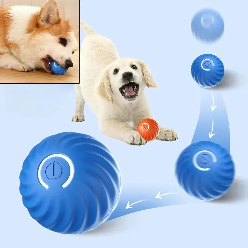Automatic Dog Toy Ball - Happy Tails - paws & love