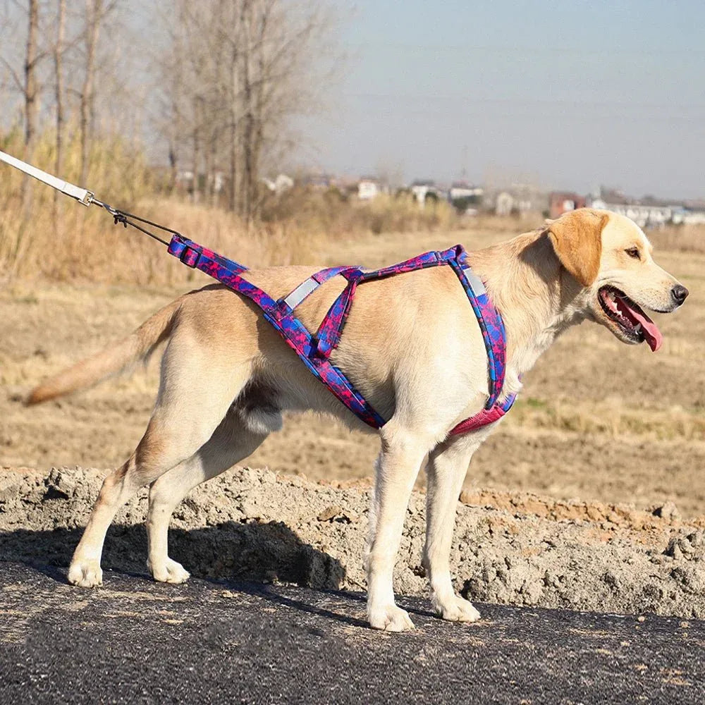 Dog Sledding Harness - Happy Tails - paws & love