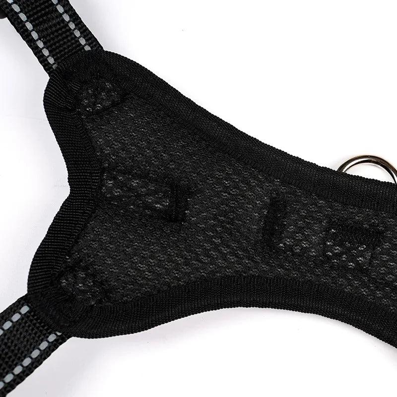 Saddle Dog Harness - Happy Tails - paws & love