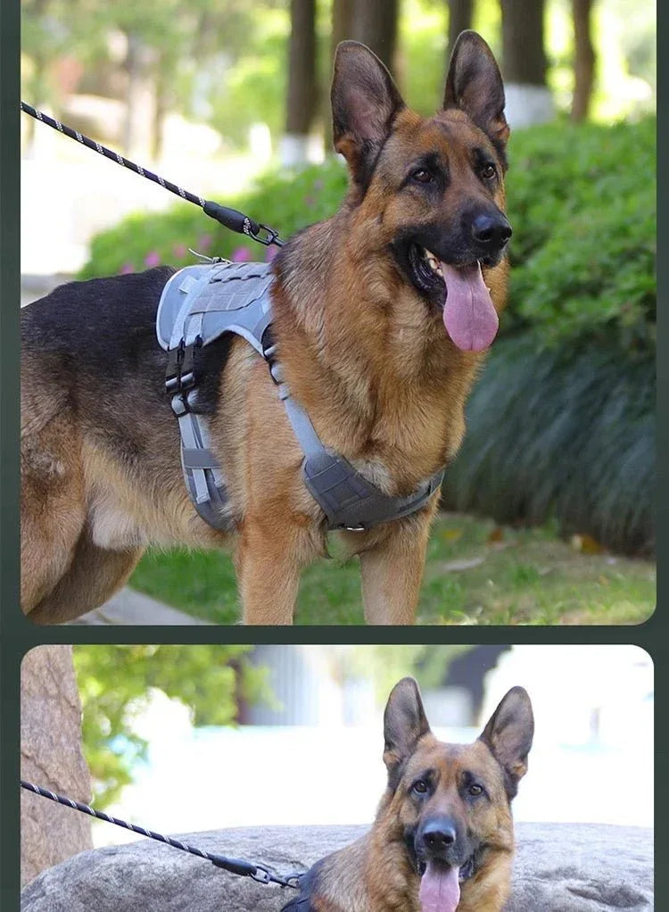 No-Pull Service Dog Vest - Happy Tails