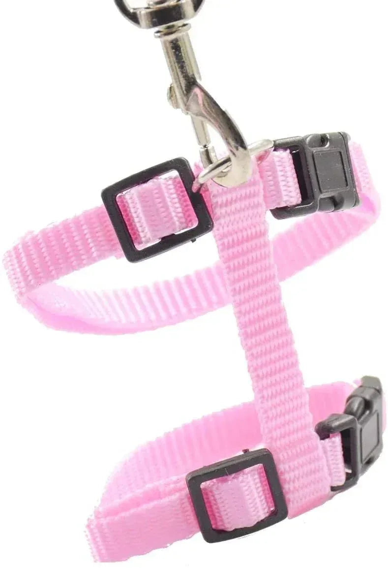 Kitten Adventures Harness & Leash Set - Happy Tails