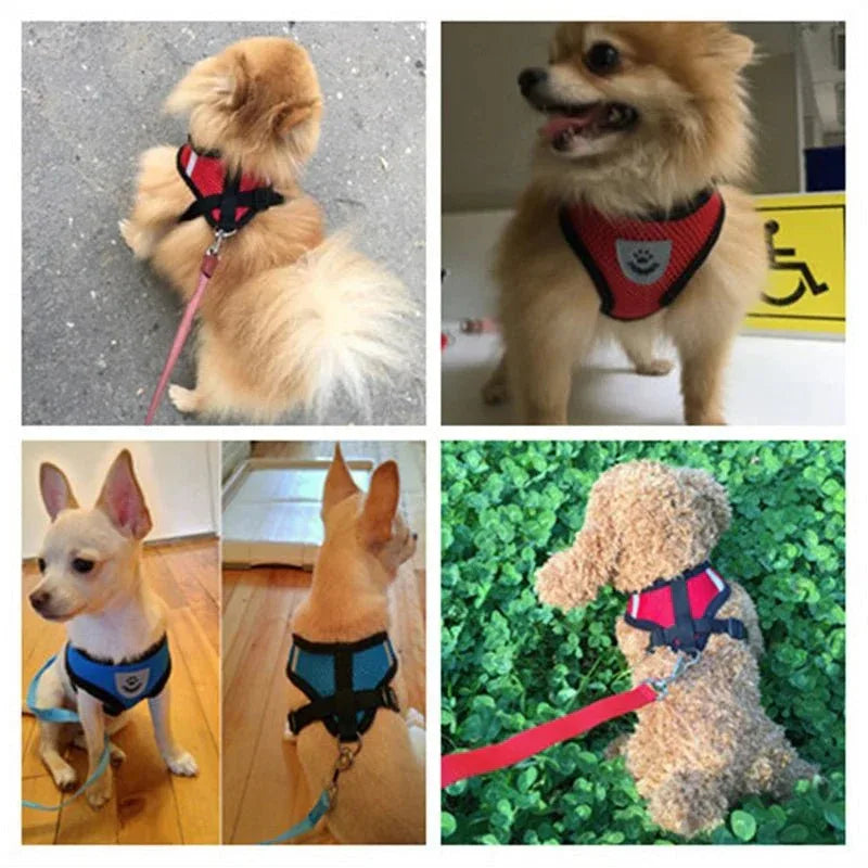 Dog Harness for Small Dogs - Happy Tails - paws & love