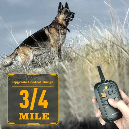 Electric Shock Collar for Large Dogs - Happy Tails