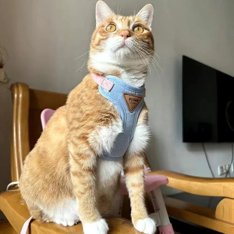 Cat & Puppy Harness and Leash - Happy Tails - paws & love