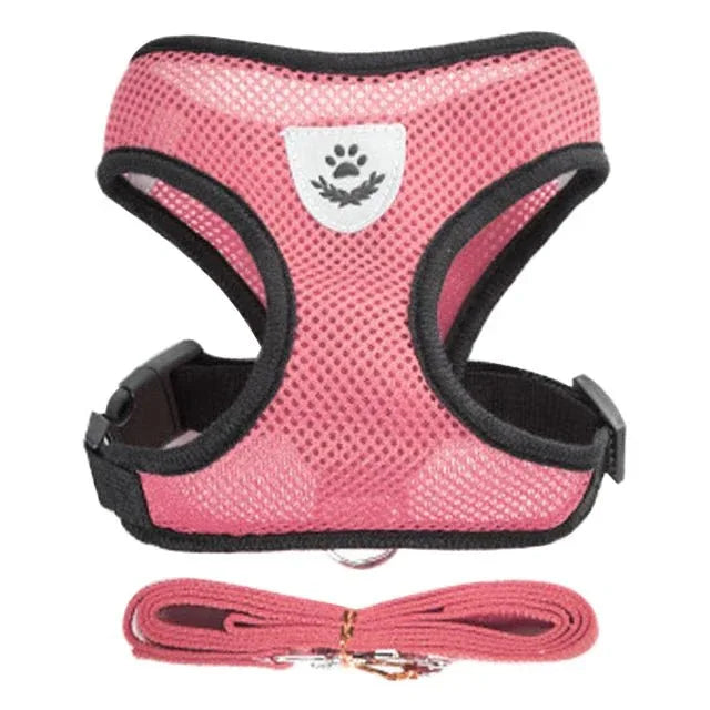Cat Harness for Outdoor Adventures - Happy Tails - paws & love