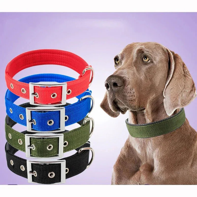 Solid Nylon Dog Collars - Happy Tails - paws & love
