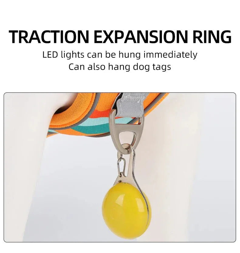 Dog Harness for Training - Happy Tails - paws & love