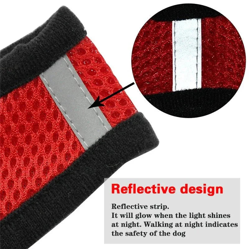 Cat Harness for Outdoor Adventures - Happy Tails - paws & love