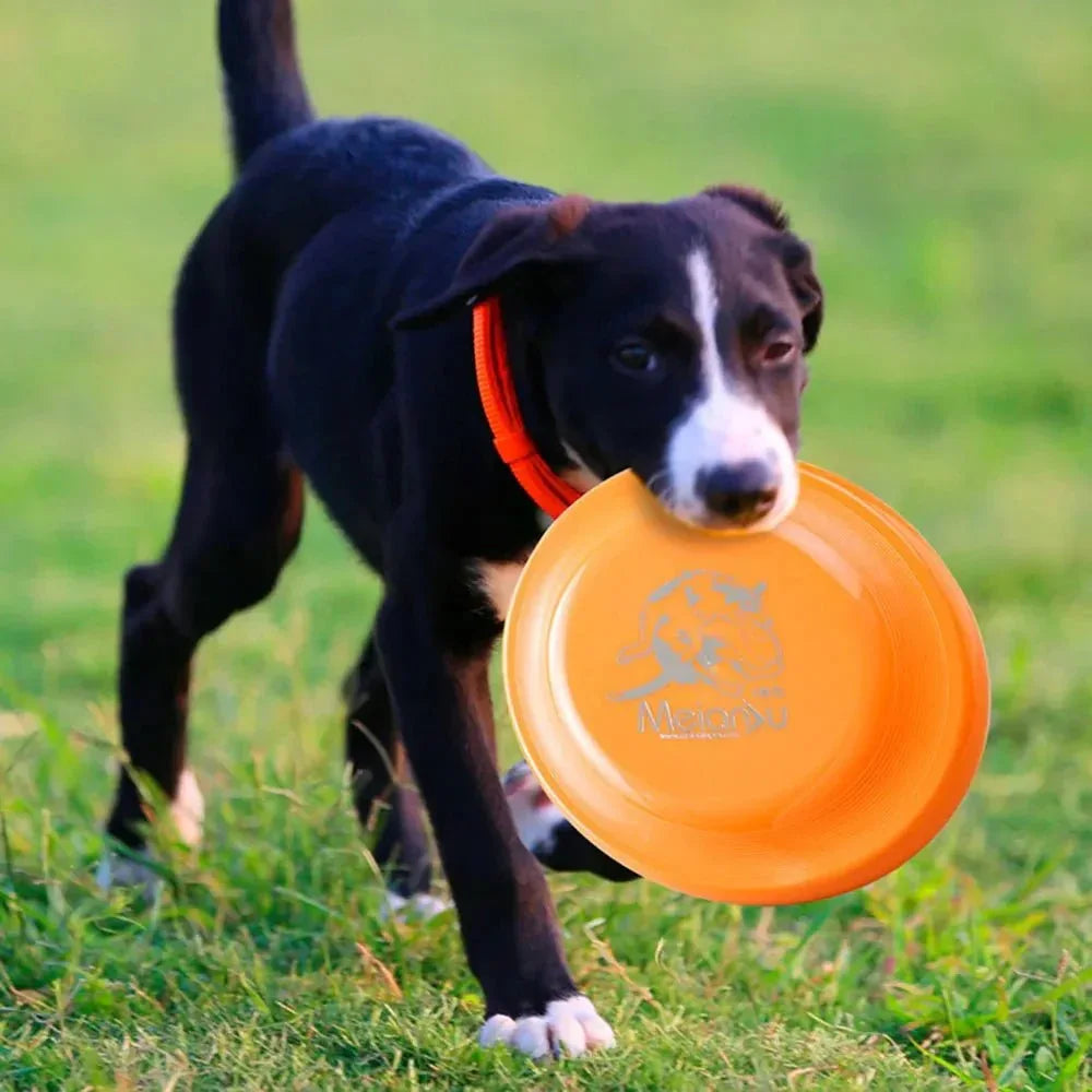 Dog Training Disc - Happy Tails - paws & love